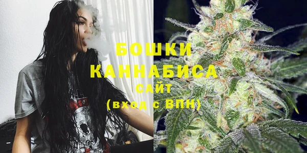 прущие крисы Няндома