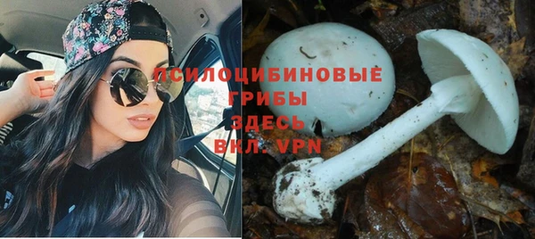 стафф Нязепетровск