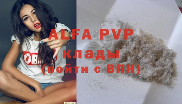 дживик Осташков