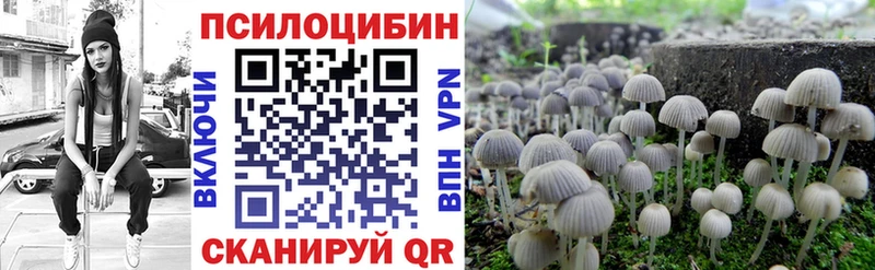 Псилоцибиновые грибы GOLDEN TEACHER Осташков